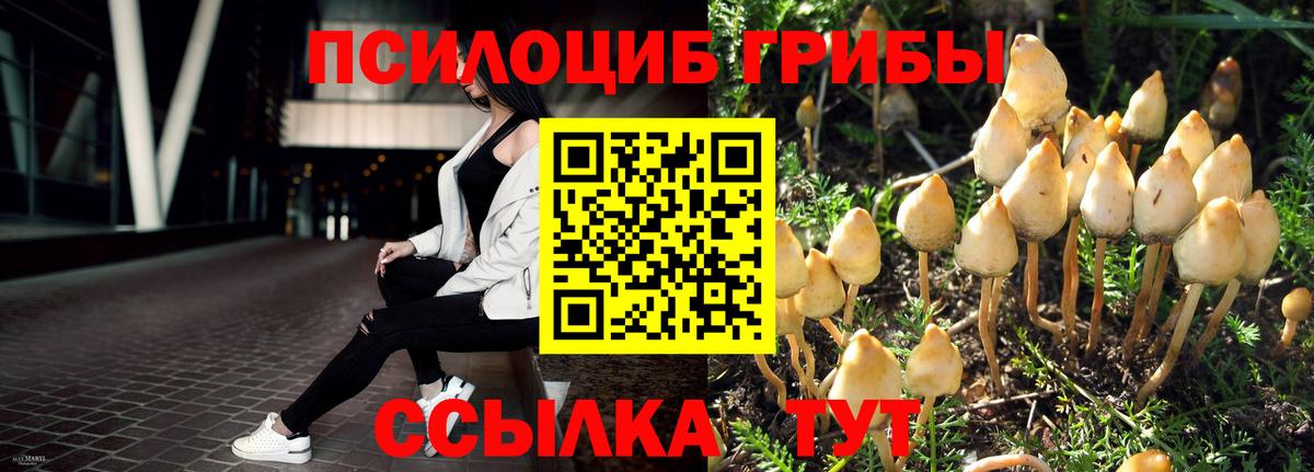 Псилоцибиновые грибы мухоморы Артём